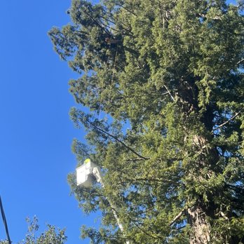 Garcia's Tree Service - Big limb broke - Tree Services Near Me Garcia's Tree Service - Big limb broke - Tree Services Near Me