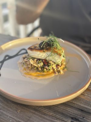 Oystercatcher by null