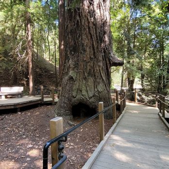 Big Sur Lodge - Hotels Near Me - Big Sur, California