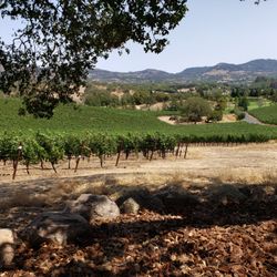 United Coach Limousine - Winery Napa