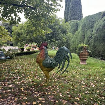 Montecchio - Black Rooster certified Chianti - Kitchen & Bath Near Me - Tavarnelle Val di Pesa, PO Montecchio - Black Rooster certified Chianti - Kitchen & Bath Near Me - Tavarnelle Val di Pesa, PO