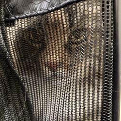 Four Paws Veterinary Clinic - Pumpkin in her carrier