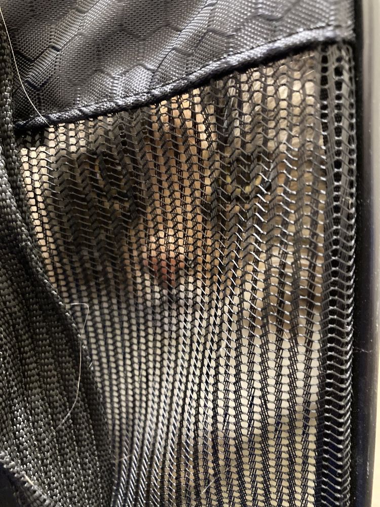 FOUR PAWS VETERINARY CLINIC Updated August 2024 16 Photos & 31 Reviews 2625 Connery Way