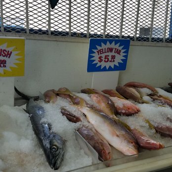 Plaza Seafood Market - Seafood Markets Near Me - Miami, Florida Plaza Seafood Market - Seafood Markets Near Me - Miami, Florida