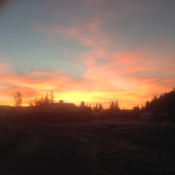 Echo Glen Equestrian Center - 130 acres with beautiful sunrises and sunsets. - Horseback Riding Near Me - North Plains, Oregon Echo Glen Equestrian Center - 130 acres with beautiful sunrises and sunsets. - Horseback Riding Near Me - North Plains, Oregon