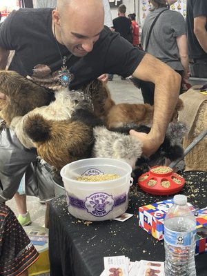 Cackle Hatchery® by null