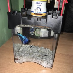 nearest petland discount