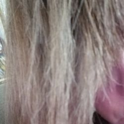 Salon 360 - This is the damage from a Salon 360 keratin treatment 2 weeks later. $300 down the toilet and it will take 6 months to be cut out.