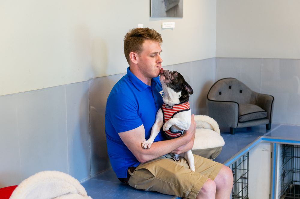 PATRICK’S PET CARE 57 Photos & 101 Reviews 3303 11th St NW