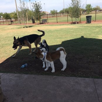 Cesar Chavez Park - This is a nice dog park! - Dog Parks Near Me - Phoenix, Arizona