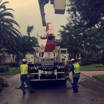 Tree Pro - Tree Services Near Me - Killen, Alabama