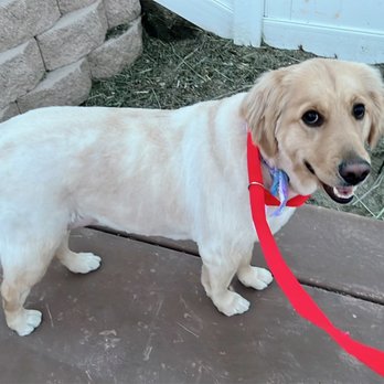 Vanity Fur Menifee - Pet Groomers Near Me