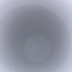 Showmars - Ants were in my cup bruh are u kidding me.