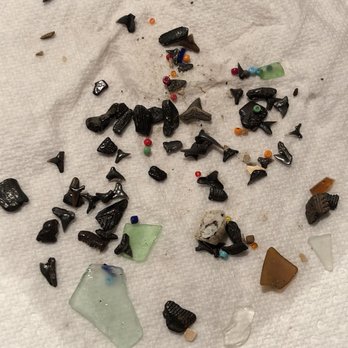 Bayfront Park - Lots of tiny sharks teeth and glass beads. - Beaches Near Me - Chesapeake Beach, Maryland