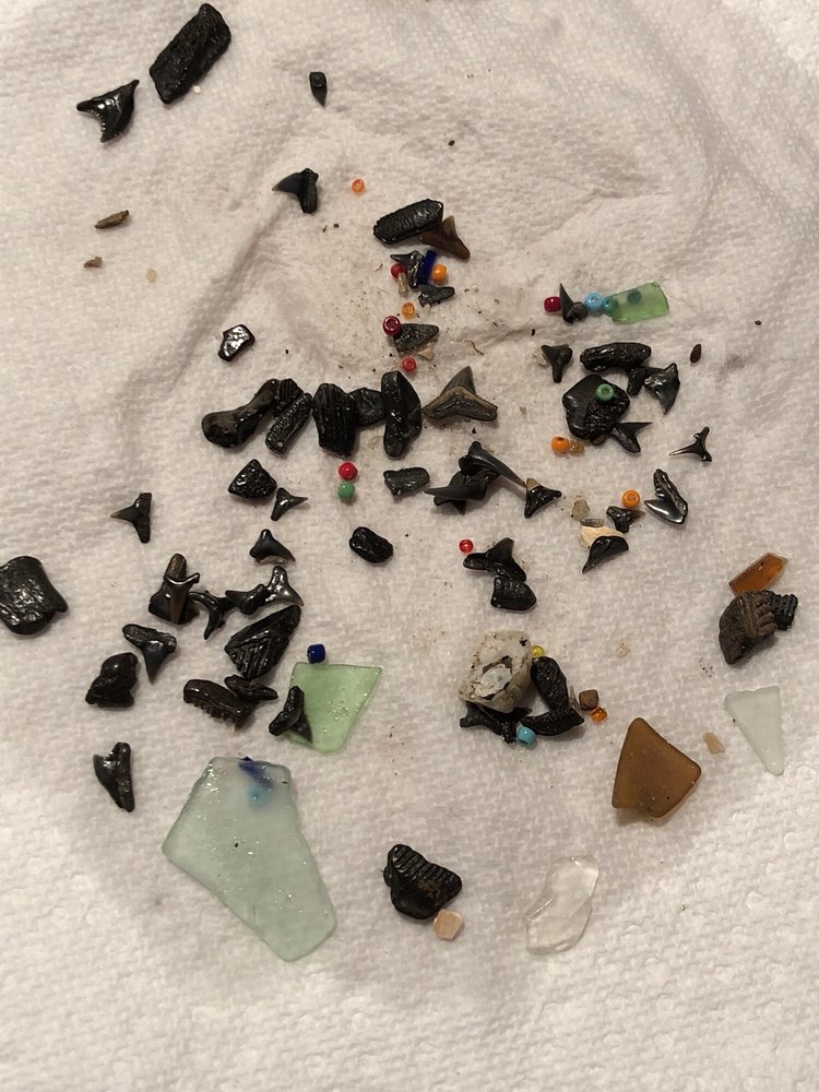 BAYFRONT PARK 57 Photos & 31 Reviews Beaches Brownies Beach Rd