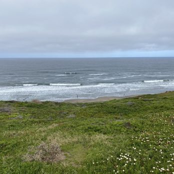 Ocean View Stables - Horseback Riding Near Me - Daly City, California