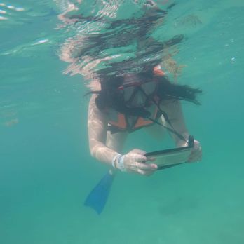 Akumal Dive Shop - Get a Gopro. This didn't work! - Sporting Goods Near Me - Akumal, ROO Akumal Dive Shop - Get a Gopro. This didn't work! - Sporting Goods Near Me - Akumal, ROO