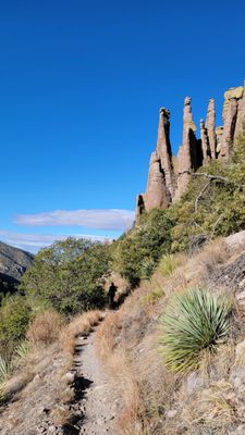 Chiricahua National Monument by null