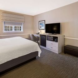 Best Western Sea Island Inn - Bay Street Standard King