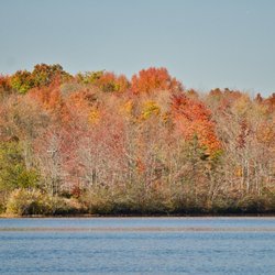 Plainsboro Preserve - Https://youtu.be/DWFTB5AHxDQ