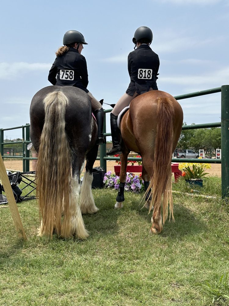 Blueberry Creek Stables - equestrian in Converse, TX