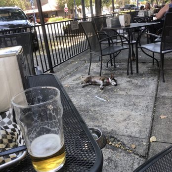 Rustwater Kitchen & Taproom - Buddy's nap time at Rustwater Grill. - Beer Bar Near Me - Fairfield, California Rustwater Kitchen & Taproom - Buddy's nap time at Rustwater Grill. - Beer Bar Near Me - Fairfield, California