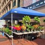 14th and U Farmer's Market