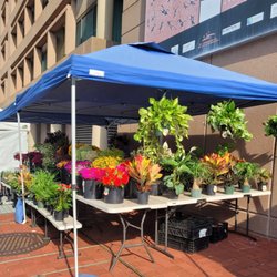14th and U Farmer's Market
