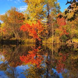 Cleary Lake Regional Park