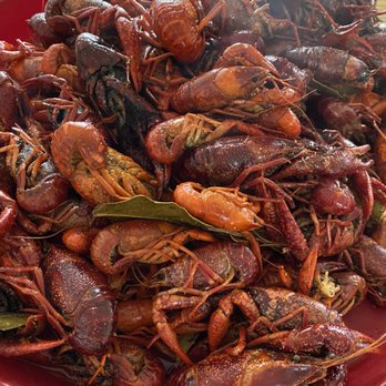 Bayou Cat Restaurant - 5 pounds of spicy crawfish, dozen wings, 1 catfish filet and 6 hush puppies! Delish!! - Seafood Near Me - Arlington, Texas Bayou Cat Restaurant - 5 pounds of spicy crawfish, dozen wings, 1 catfish filet and 6 hush puppies! Delish!! - Seafood Near Me - Arlington, Texas