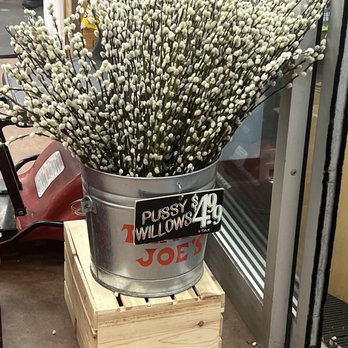 Trader Joe's - Flowers - Grocery Near Me - Westfield, New Jersey