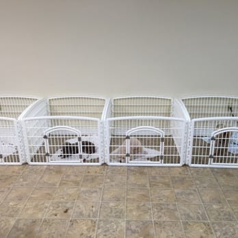 Canine Stylin - Some of our holding pens - Pet Groomers Near Me - East Flat Rock, North Carolina Canine Stylin - Some of our holding pens - Pet Groomers Near Me - East Flat Rock, North Carolina
