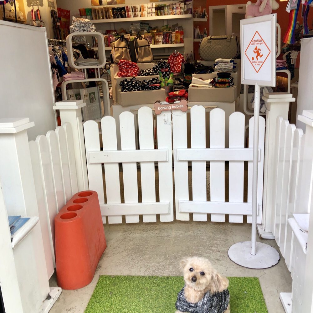 Barking Babies - Entrance - Pet Stores Near Me - Vancouver, British Columbia Barking Babies - Entrance - Pet Stores Near Me - Vancouver, British Columbia
