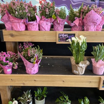 Trader Joe's - Grocery Near Me - Milpitas, California Trader Joe's - Grocery Near Me - Milpitas, California