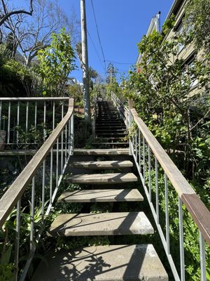 Filbert Steps by null