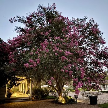 The Myrtles - Bed & Breakfast Near Me - Saint Francisville, Louisiana