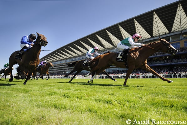 Ascot Racecourse by null