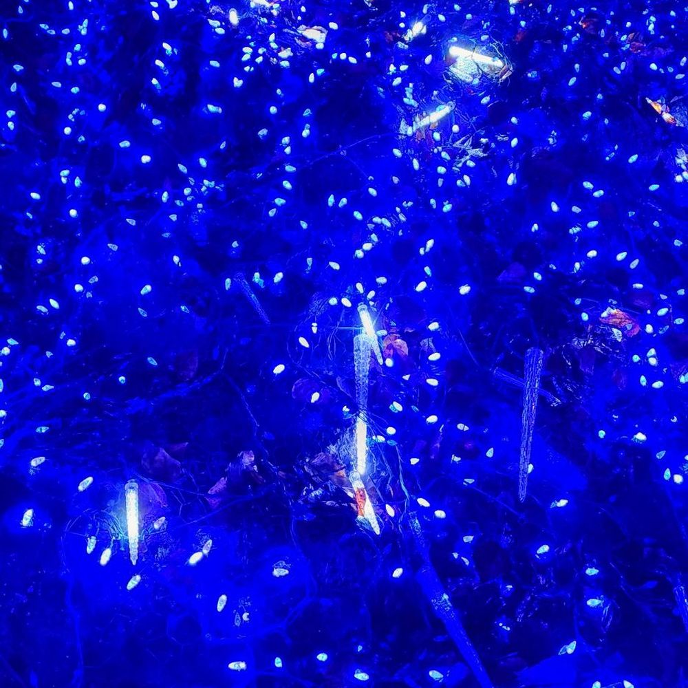 Lights at Lafarge - Dec 2023 - Local Flavor Near Me - Coquitlam, British Columbia Lights at Lafarge - Dec 2023 - Local Flavor Near Me - Coquitlam, British Columbia
