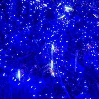 Lights at Lafarge - Dec 2023 - Local Flavor Near Me - Coquitlam, British Columbia Lights at Lafarge - Dec 2023 - Local Flavor Near Me - Coquitlam, British Columbia