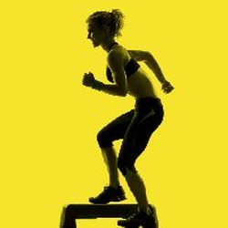 The Fitness Lab - Fitness Lab logo