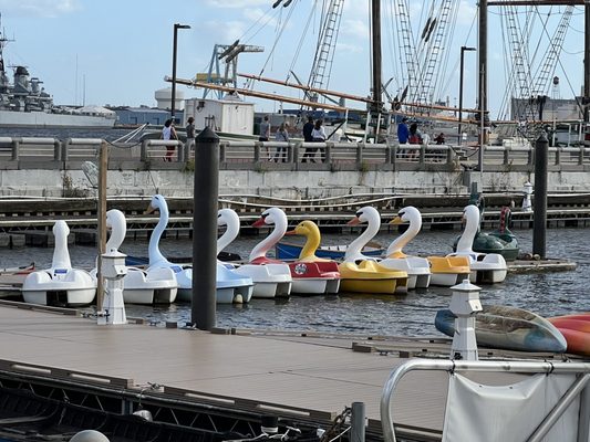 Independence Seaport Museum by null