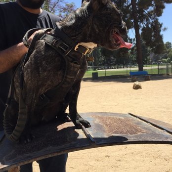 Recreation Dog Park - Dog Parks Near Me - Long Beach, California Recreation Dog Park - Dog Parks Near Me - Long Beach, California