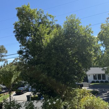 4 Seasons Tree Services - Tree Services Near Me