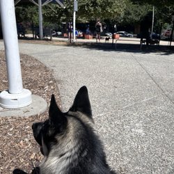 Truitt Bark Park - A little socialization training