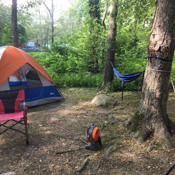 Oak Embers Campground - C-8 Perfect for the pups and the hammock! - Campgrounds Near Me - West Greenwich, Rhode Island