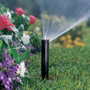 Environmental Designers Irrigation - A close-up of a pop-up spray sprinkler head watering a vibrant green lawn right next to a colorful landscape flower bed. - Irrigation Near Me - Wall Township, New Jersey Environmental Designers Irrigation - A close-up of a pop-up spray sprinkler head watering a vibrant green lawn right next to a colorful landscape flower bed. - Irrigation Near Me - Wall Township, New Jersey