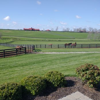 Unique Horse Farm Tours - Tours Near Me - Lexington, Kentucky Unique Horse Farm Tours - Tours Near Me - Lexington, Kentucky