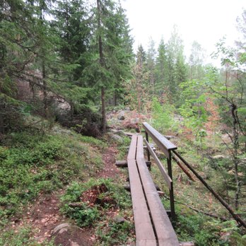Skuleskogen National Park - along the wooden panels - Hiking Near Me - Bjästa, Y