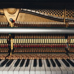 New York Piano Works - The action of the piano is a complicated machine... We can help!