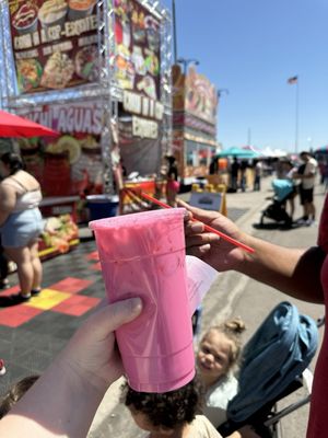 Maricopa County Fair by null
